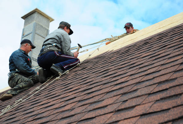 Residential Roof Replacement in Waialua, HI